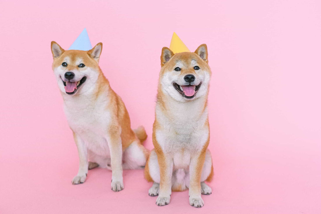 Creating a culture of celebration at work